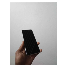 437357621_1614305216065945_4035574517904826167_n.jpg